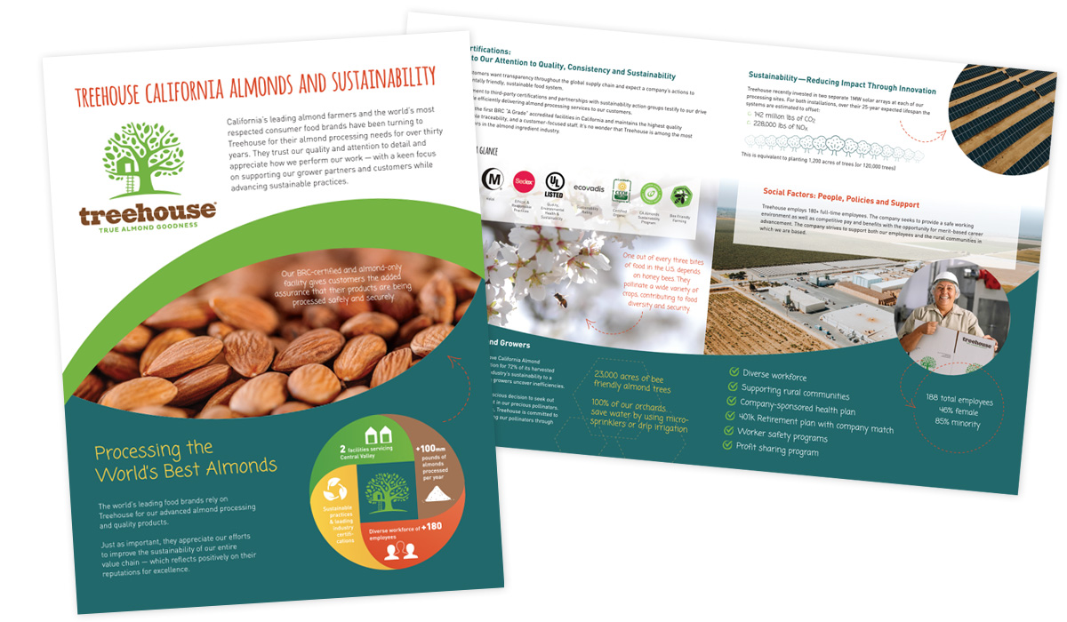 brochure design for Treehouse Almonds